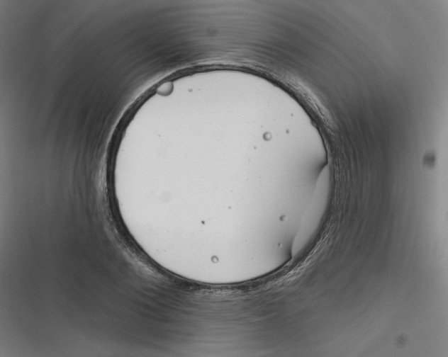 X0000116670884201001111308