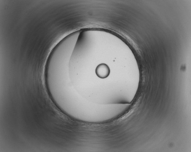 X0000116670885201001111308