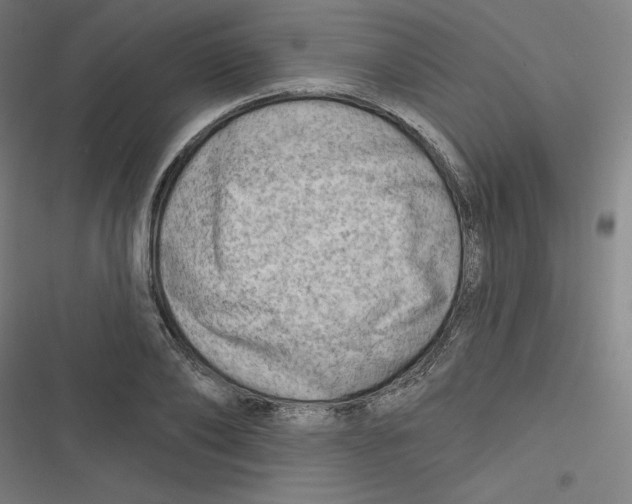 X0000116670886201001111308