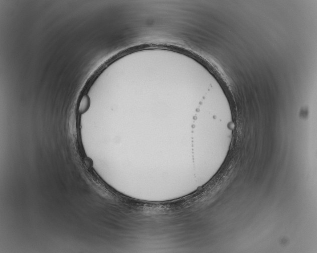 X0000116670887201001111308