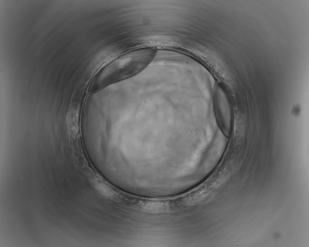 X0000116670889201001111308