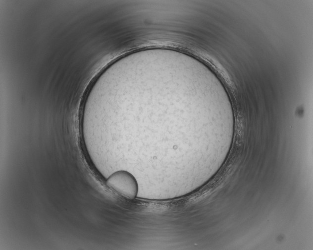 X0000116670890201001111308