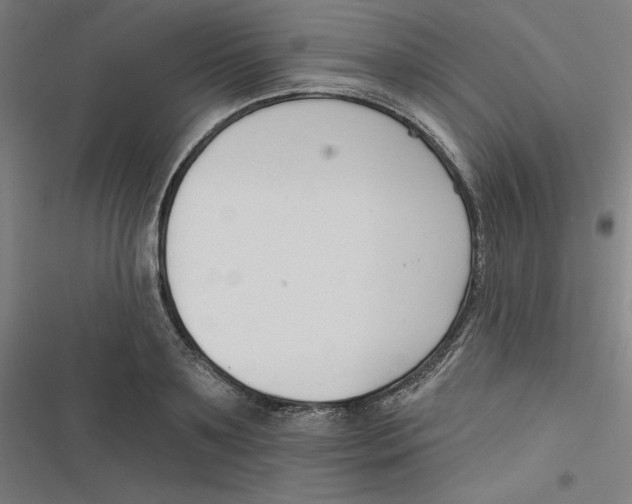 X0000116670891201001111308