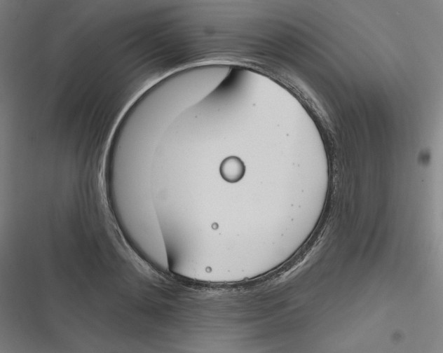 X0000116670892201001111308