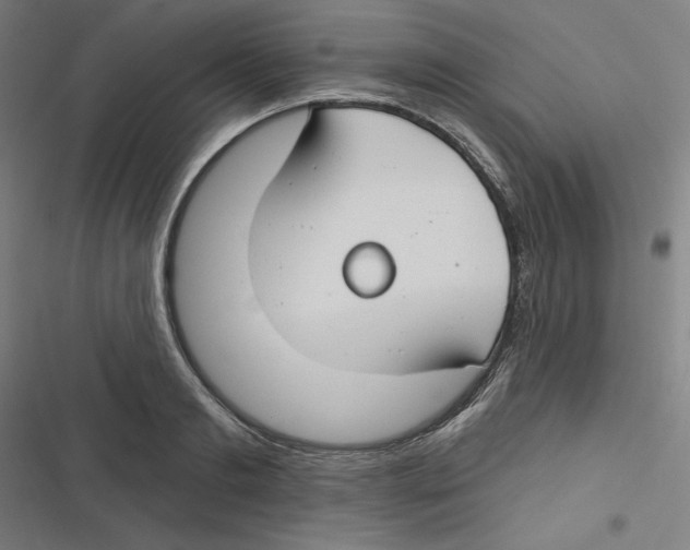 X0000116670893201001111308