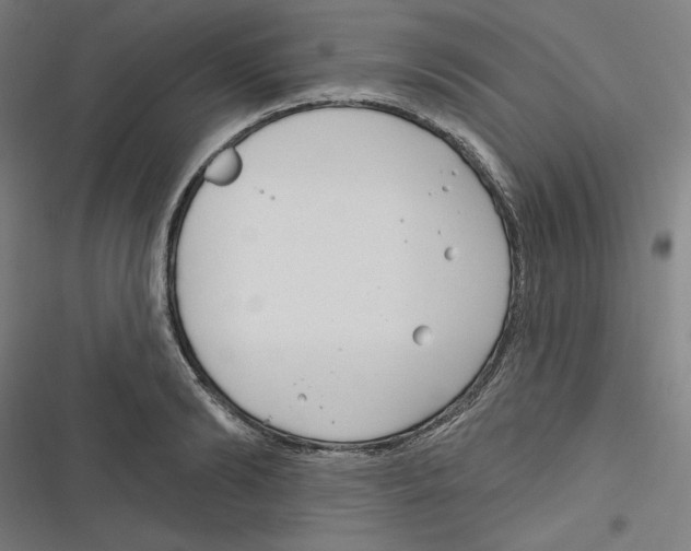 X0000116670894201001111308