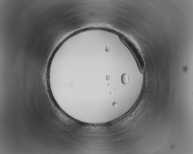 X0000116670895201001111308