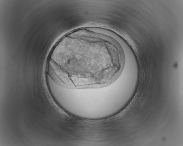 X0000116670896201001111308