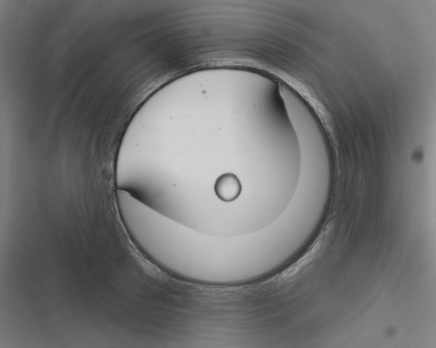 X0000116670897201001111308