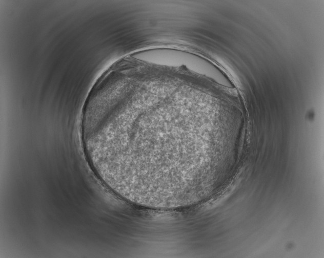 X0000116670899201001111308