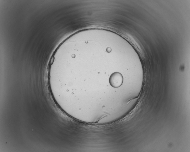 X0000116670900201001111308