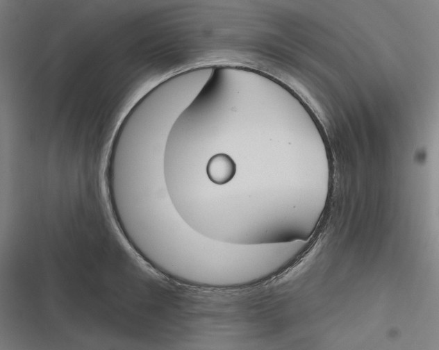 X0000116670901201001111308