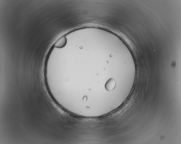 X0000116670902201001111308