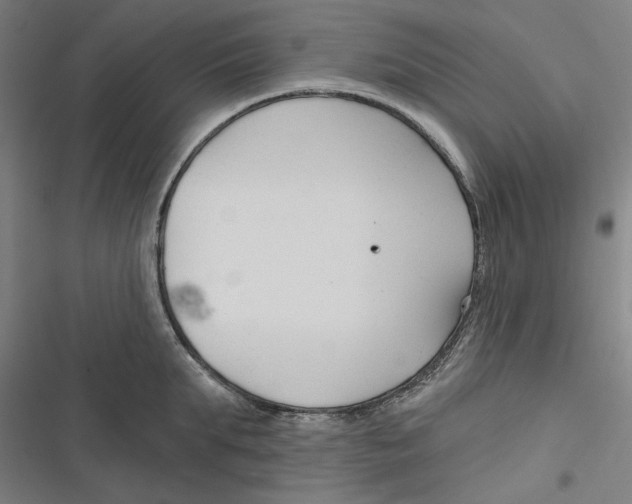 X0000116670903201001111308