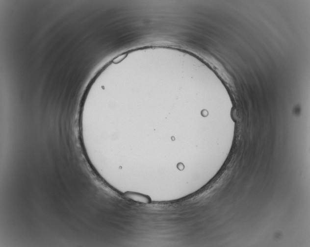 X0000116670904201001111308