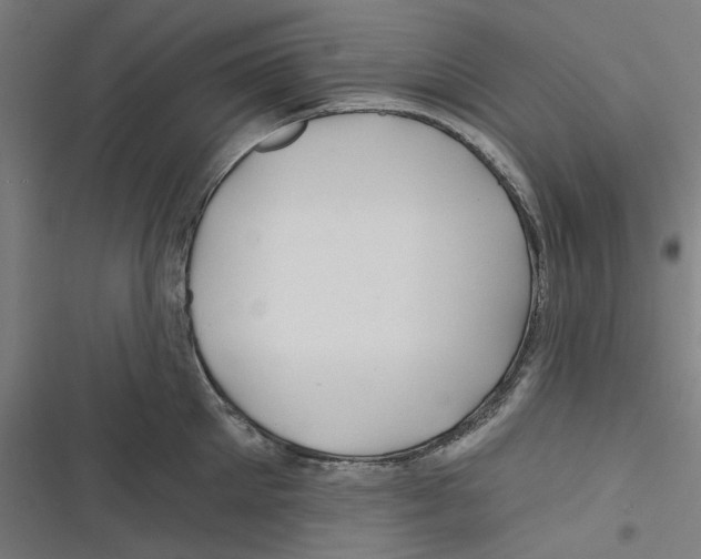 X0000116670905201001111308