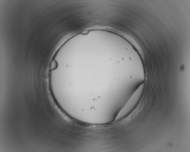 X0000116670906201001111308