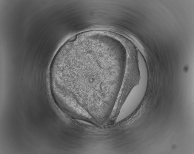 X0000116670907201001111308