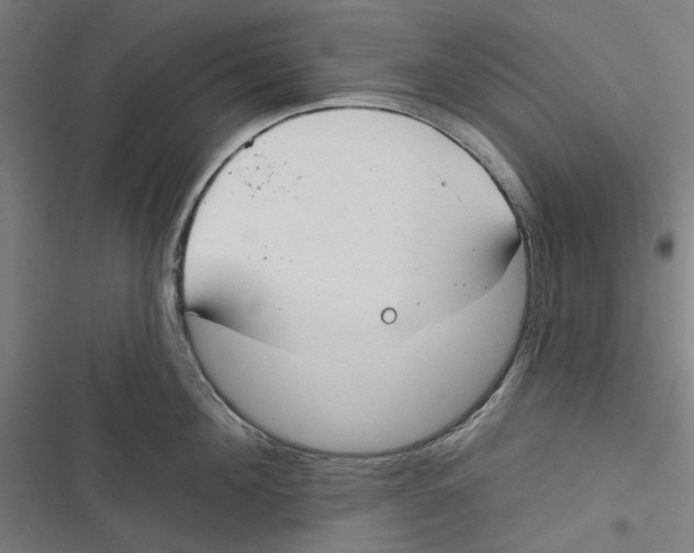 X0000116670908201001111308