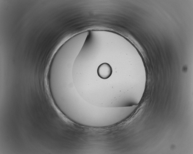 X0000116670909201001111308