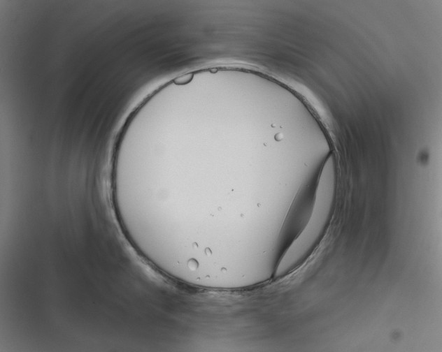 X0000116670910201001111308