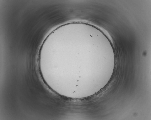 X0000116670911201001111308