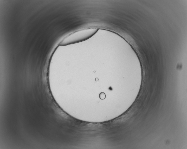 X0000116670912201001111308