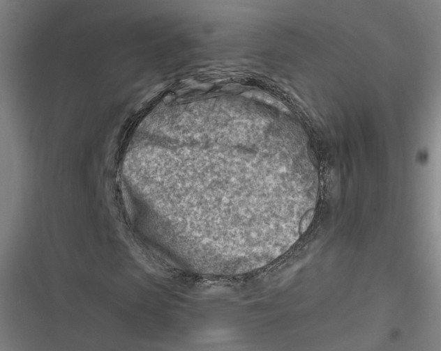 X0000116670913201001111307