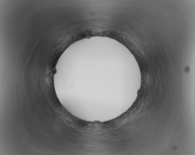 X0000116670914201001111307