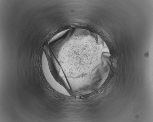 X0000116670915201001111307