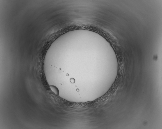 X0000116670917201001111307