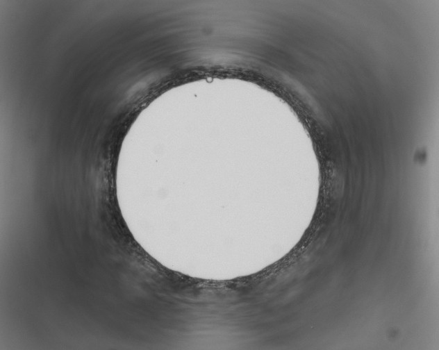 X0000116670918201001111307