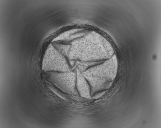 X0000116670919201001111307