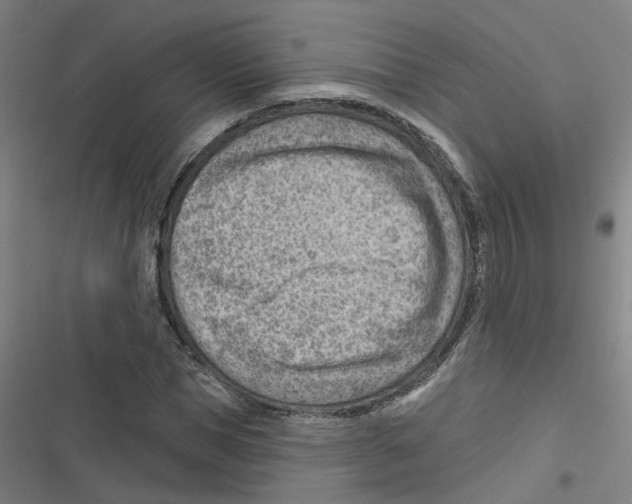 X0000116670921201001111308