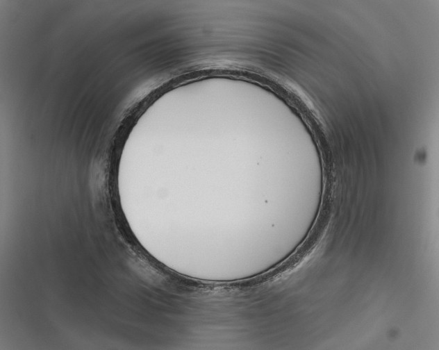 X0000116670922201001111308