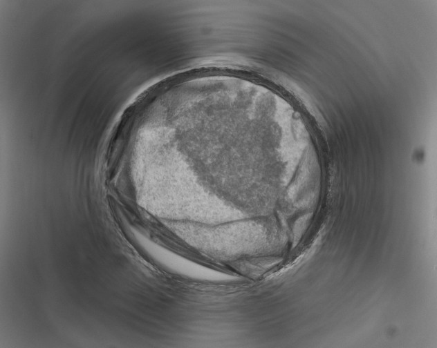 X0000116670923201001111308