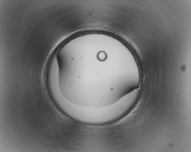 X0000116670925201001111308