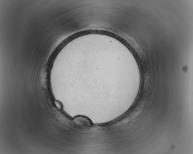 X0000116670926201001111308