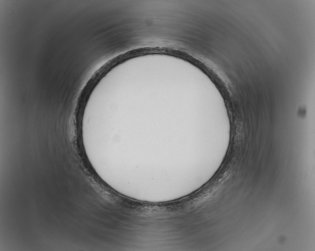 X0000116670927201001111308