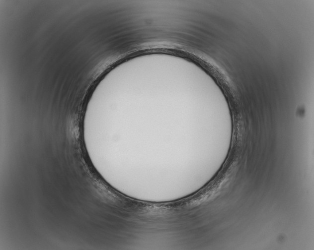 X0000116670929201001111308