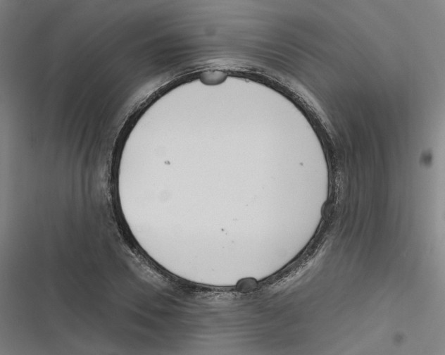 X0000116670930201001111308