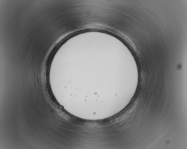 X0000116670931201001111308