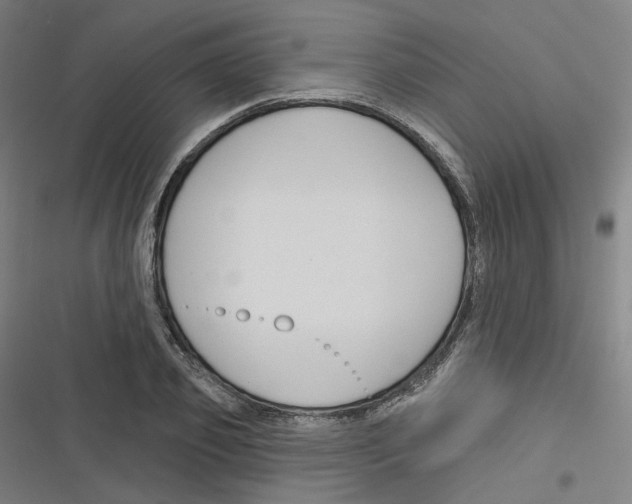 X0000116670933201001111308