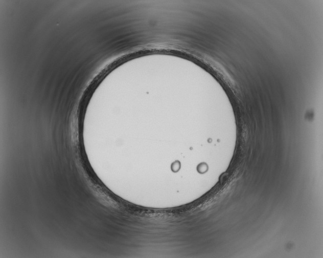 X0000116670934201001111308