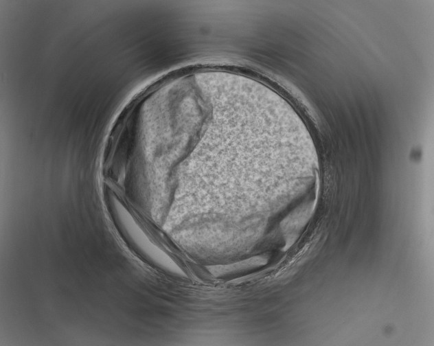 X0000116670935201001111308