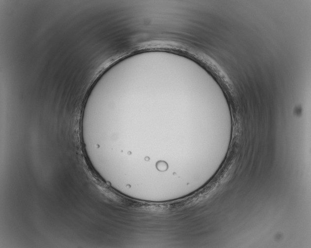 X0000116670937201001111308