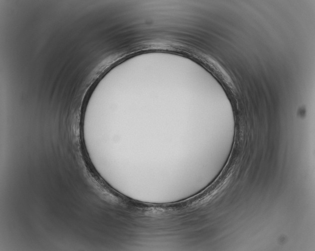 X0000116670938201001111308