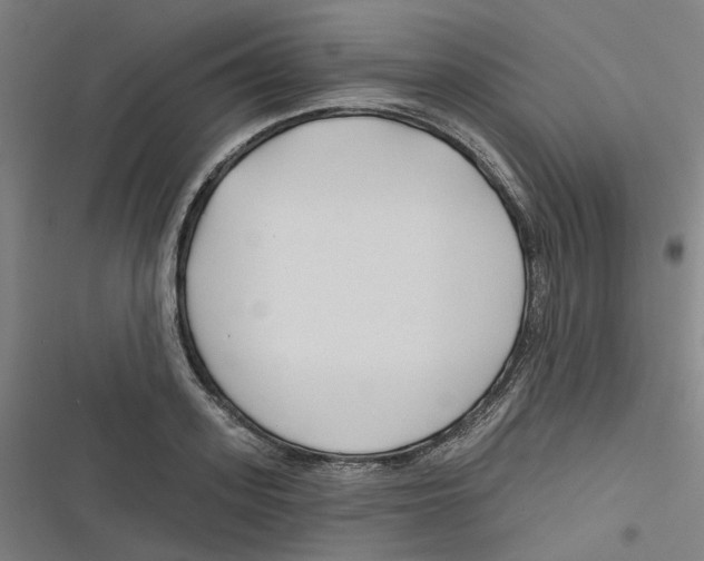 X0000116670939201001111308