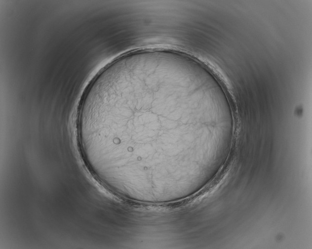 X0000116670941201001111308