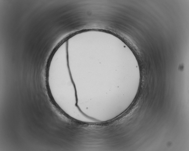 X0000116670942201001111308